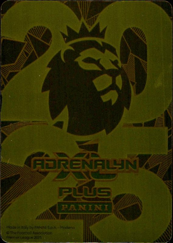PANINI ADRENALYN XL PLUS 2024-25 2025 ERLING HAALAND GOLDEN BALLER MAN CITY